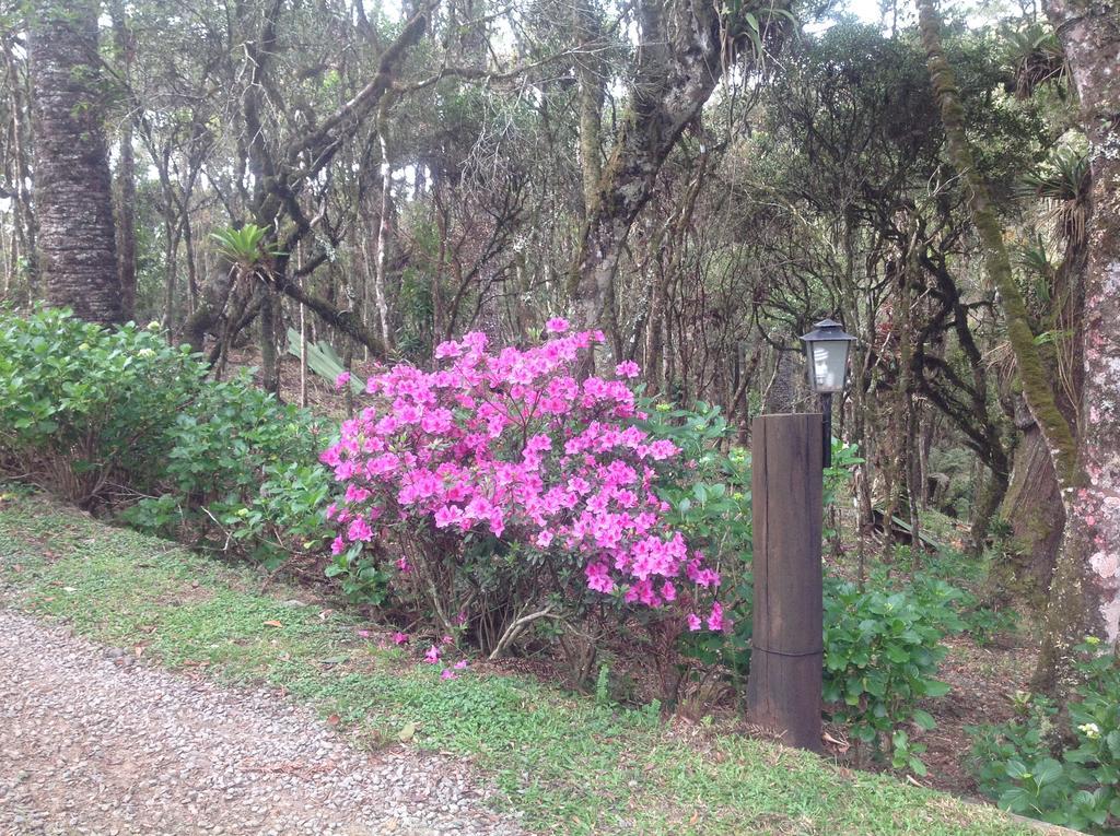 Chales Do Ferradura Campos do Jordao Ngoại thất bức ảnh