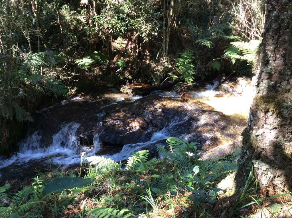 Chales Do Ferradura Campos do Jordao Ngoại thất bức ảnh