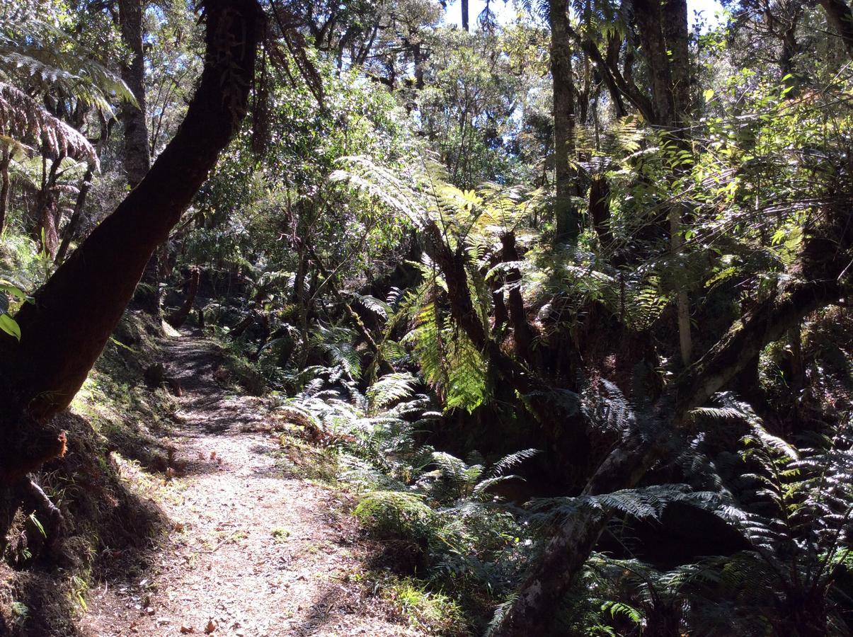 Chales Do Ferradura Campos do Jordao Ngoại thất bức ảnh